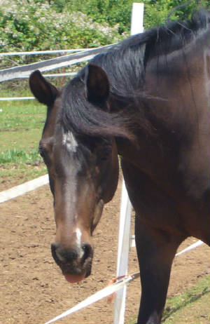 deni061907.jpg